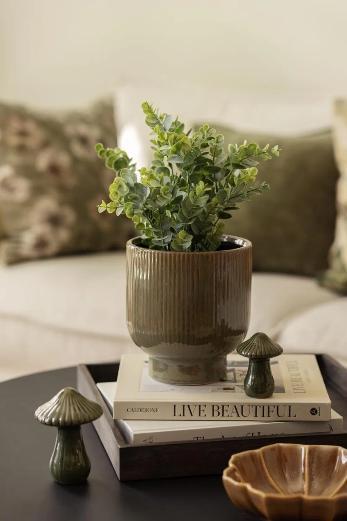 Kremmerhuset Eucalyptus plante| Grønne Planter