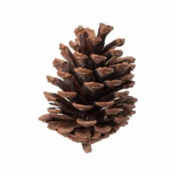 Kremmerhuset Kongler Store i pose| Pynt|Juletrær Og Julegrønt