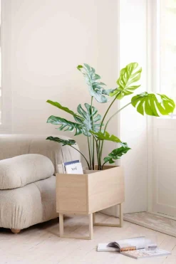 Kremmerhuset Monstera i potte 109 cm| Grønne Planter