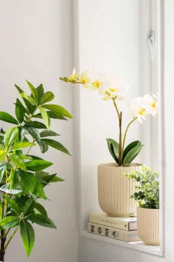 Kremmerhuset Potte Riley matt 14 cm, beige| Blomsterpotter Og Pidestaller