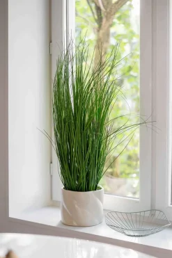 Kremmerhuset Potte tvist 15 cm| Blomsterpotter Og Pidestaller